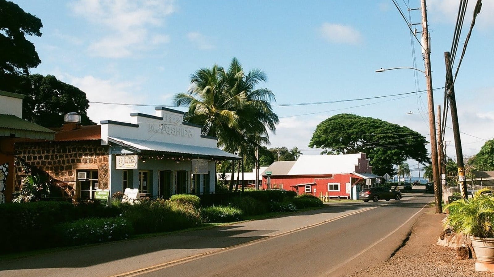 The Mainland Mirage: Why Most Hawaii Brands Kill Their Own Authenticity