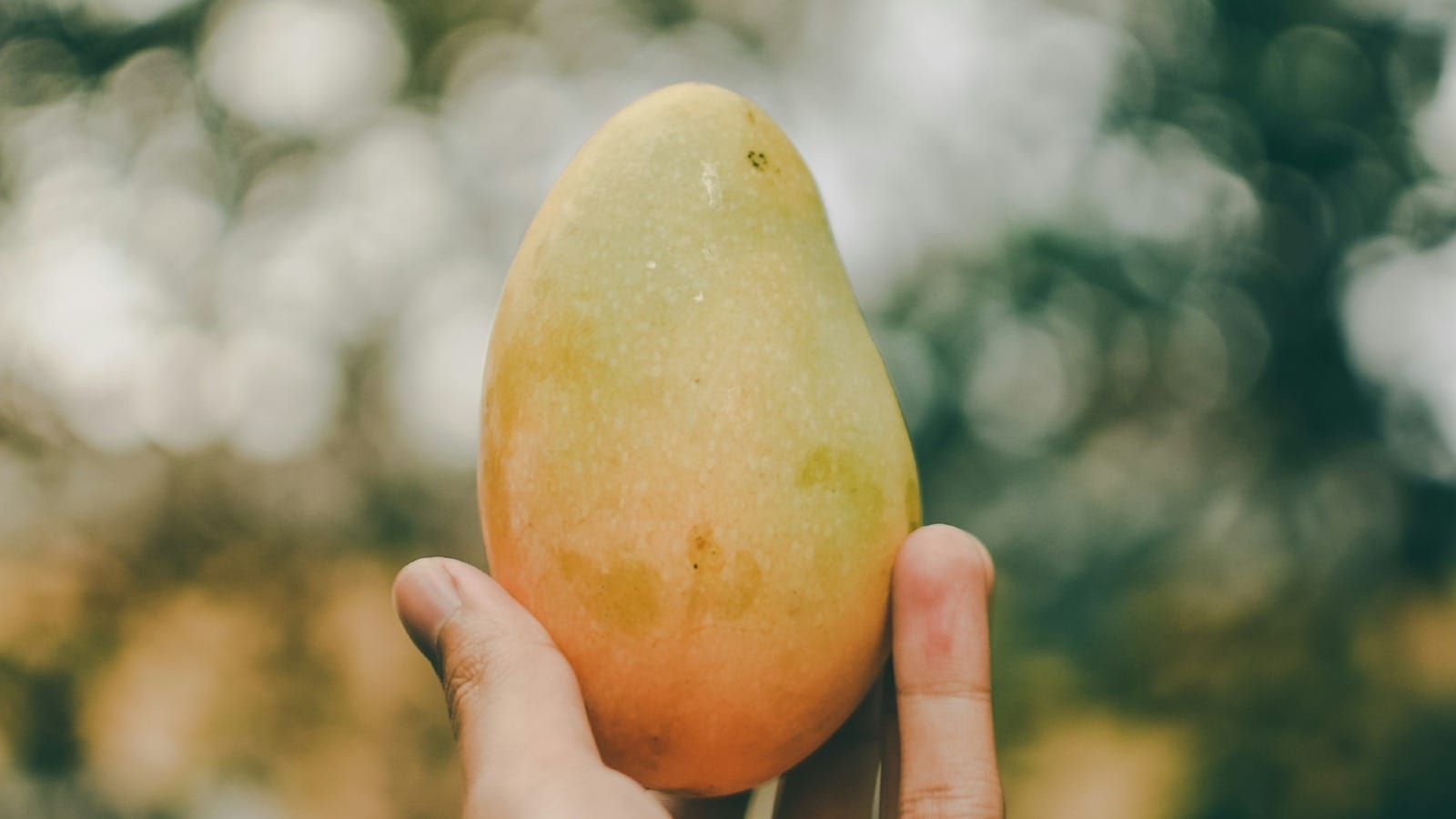 Mango Sticky Rice Smoothie Slay Era Strikes… Come on, who are we kidding? This was some damn good marketing.