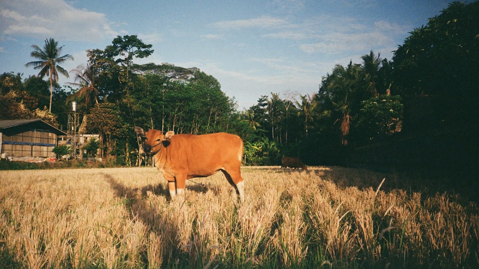 When Your Customers Have Money But Your Competitors Don’t: The Anti-Payday Strategy