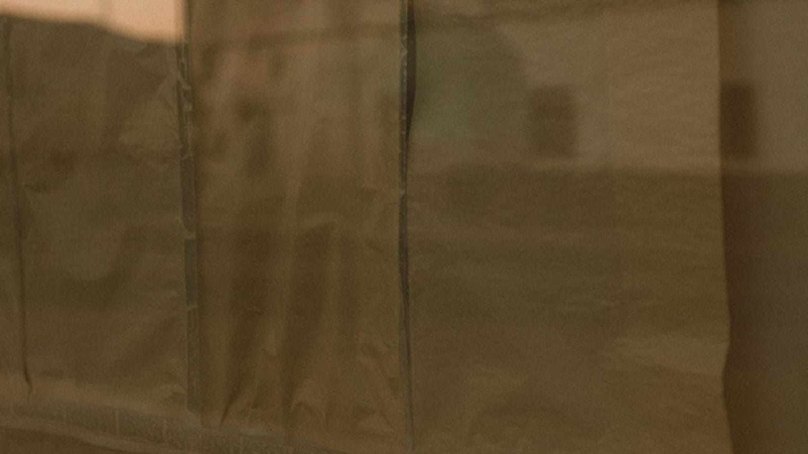 Get a Fractional CMO for Your Hawaii Business