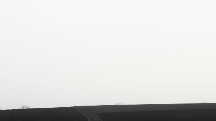 Brand Strategy & Consistency Systems for Hawaii Businesses