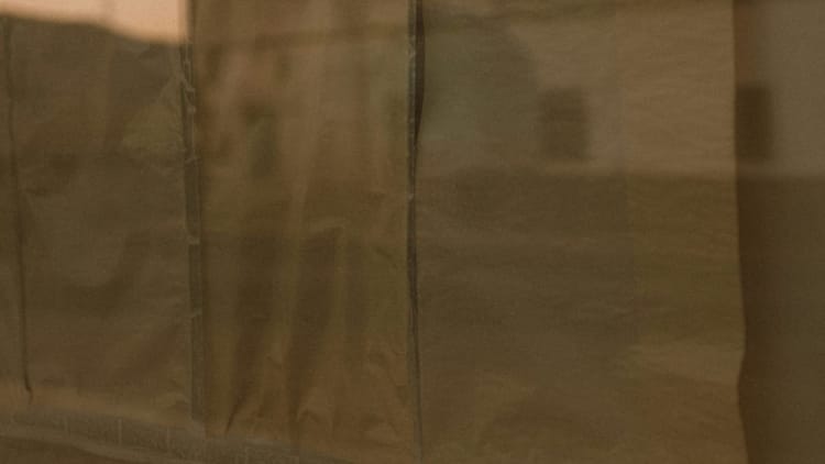 Get a Fractional CMO for Your Hawaii Business